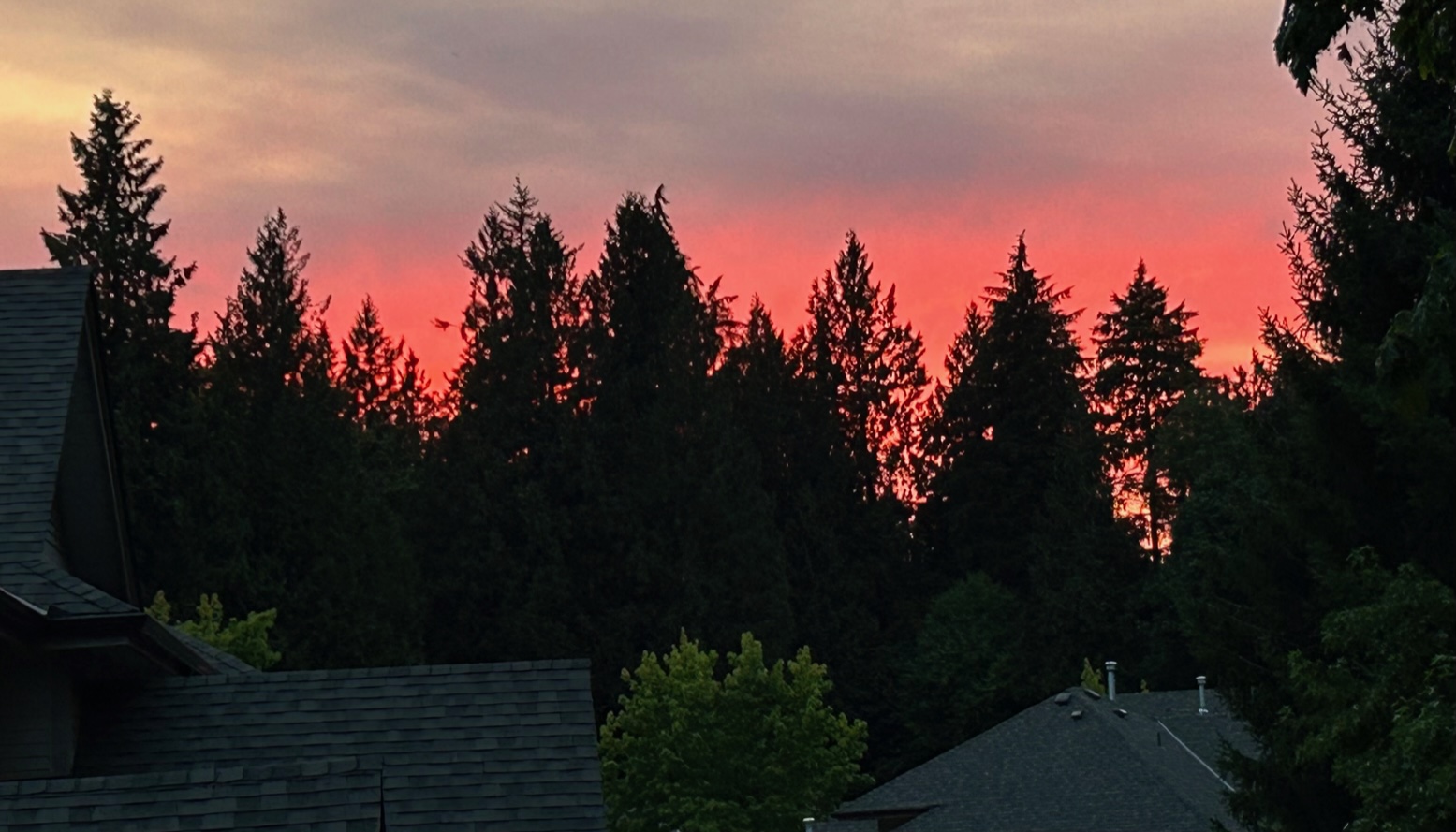 Photo Gallery Coventry Woods Langley